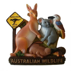 Kangaroo refrigerator magnets